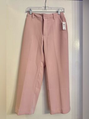 GAP Women's Petite Pink Slacks